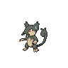 Alolan Rattata